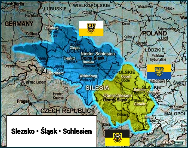 1000001647