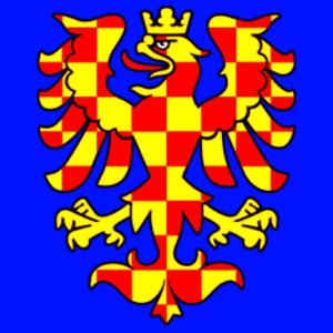 polish_20260607_081947159.jpg