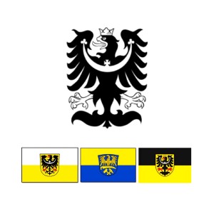 polish_20260607_084532128.jpg