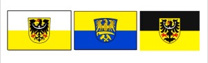 polish_20260529_085608621.jpg